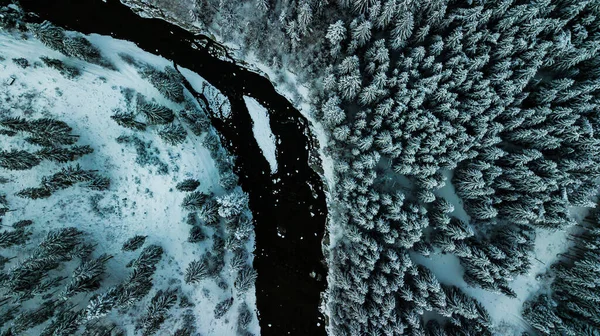 Winter Schnee Nadelwald Karpaten Ukraine Luftaufnahmen — Stockfoto