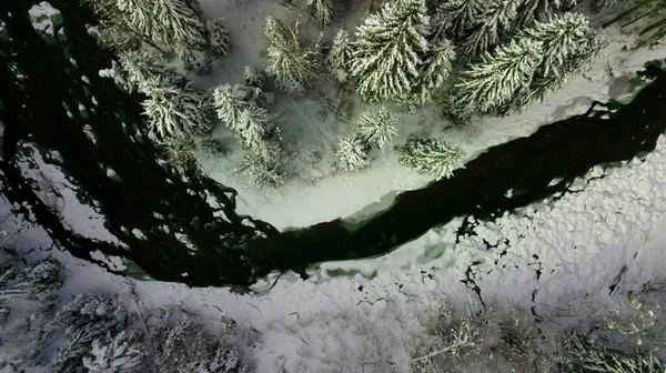Nadelwald Wald Berg Karpaten Luftaufnahmen Schnee — Stockfoto