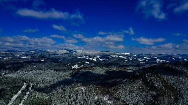 Kárpátok Hegység Fenyőerdők Tűlevelű Hegycsúcsok Tél Légi Fotózás — Stock Fotó