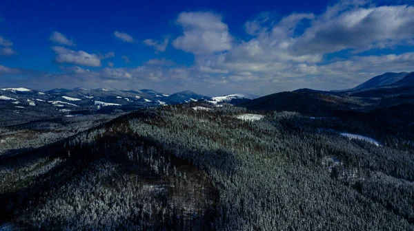 Karpaten Gebirge Kiefernwälder Nadelwälder Berggipfel Winter Schnee Luftaufnahmen — Stockfoto