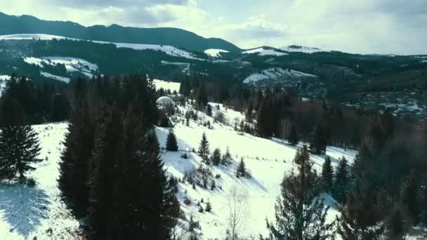 Montañas Los Cárpatos Invierno Cubiertas Por Bosque Pinos Vídeo Aéreo — Vídeo de stock
