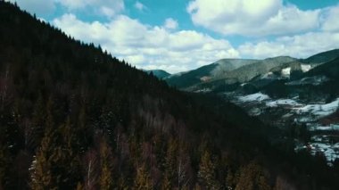 Kışın Karpat dağları çam ormanlarıyla kaplıdır. 4K hava görüntüsü.
