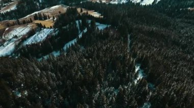 Kışın Karpat dağları çam ormanlarıyla kaplıdır. 4K hava görüntüsü.