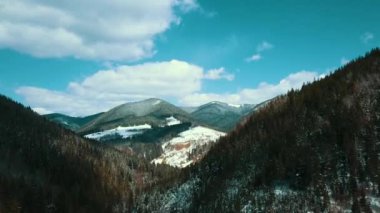 Dağların zirvesi Karpatlar 'ın hava görüntüsü 4K kış karı karlı.