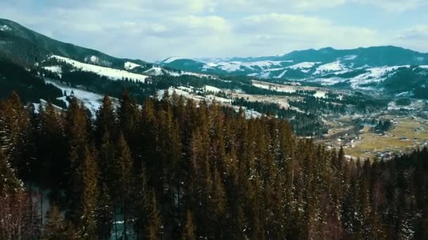Montanhas Cárpatas Inverno Cobertas Por Uma Floresta Pinheiros Vídeo Aéreo — Vídeo de Stock