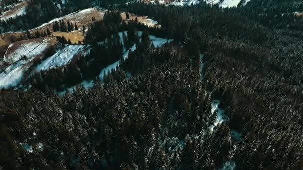 Montagnes des Carpates en hiver couvertes d'une forêt de pins. Vidéo aérienne 4K .