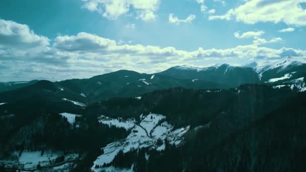 Зимовий Сніговий Гірський Хребет Карпатської Гори Покритий Снігом — стокове відео