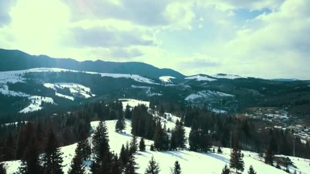 Зимовий Сніговий Гірський Хребет Карпатської Гори Покритий Снігом — стокове відео