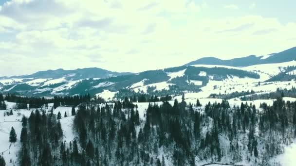 Inverno Innevato Carpazi Catena Montuosa Della Cima Delle Montagne Coperte — Video Stock