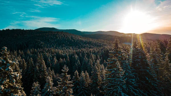 Karpaten Winter Gebirge Luftaufnahme Panorama — Stockfoto