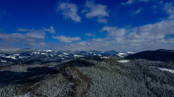 カルパチア山脈の松林針葉樹の山トップ冬の雪の空中写真 — ストック写真