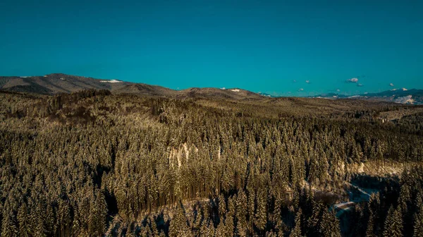 Karpat Dağları Kış Aralığı Hava Fotoğrafçılığı Panoraması — Stok fotoğraf