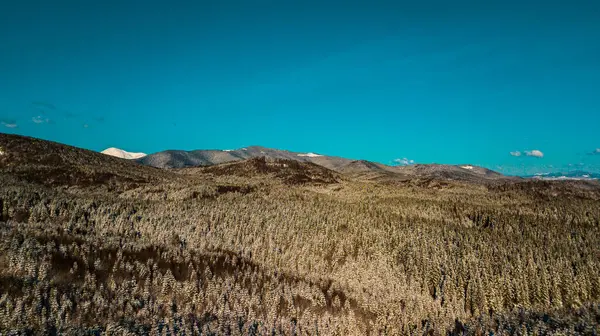 Панорама Зимних Гор Карпат — стоковое фото
