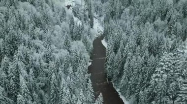 Kışın karla kaplı donmuş bir ormanın havadan görünüşü. Finlandiya 'da kış ormanı üzerinde uçuş, üst görünüm.