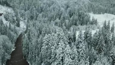 Sella geçidindeki orman ormanıyla karlı vadiye doğru ilerleyin. Gün batımı veya gün doğumu, bulutlu bir gökyüzü. Dolomitler, İtalyan Alp Dağları.
