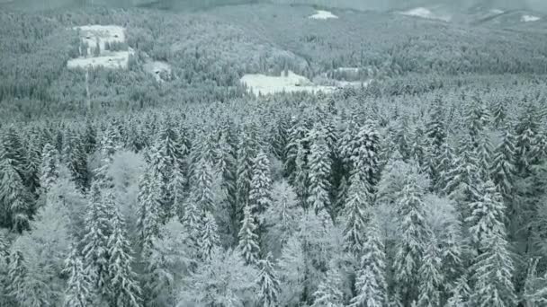 Avancer Aérienne Vallée Enneigée Avec Forêt Boisée Col Sella Coucher — Video