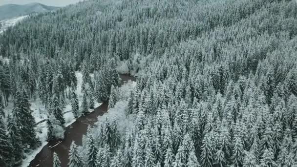 Μπροστά Εναέρια Προς Χιονισμένη Κοιλάδα Δάσος Στο Πέρασμα Sella Ηλιοβασίλεμα — Αρχείο Βίντεο