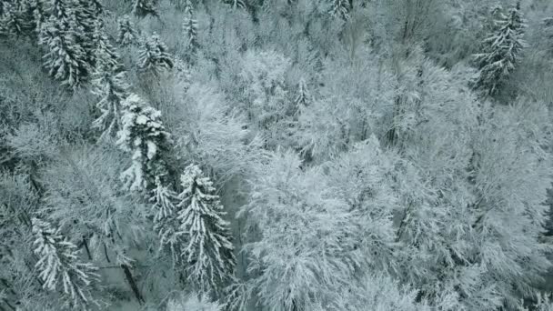 太陽や日の出 曇りの空冬のドロマイトイタリアアルプスの山々屋外の自然確立します 4Kドローン飛行 — ストック動画