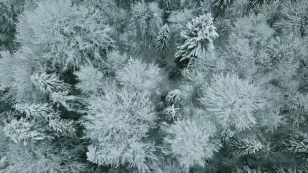 太阳落山或日出 多云的滑雪板 冬季白云石意大利阿尔卑斯山户外大自然的建立 4K无人驾驶飞机飞行 — 图库视频影像