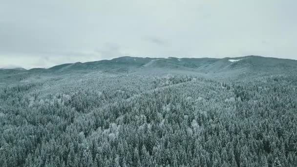 Aérea Hacia Adelante Valle Nevado Con Bosque Paso Sella Cielo — Vídeo de stock