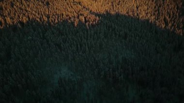 Sunset 'teki Hava Kış Manzarası. Güzel Sinema Kaliteli Görüntü UHD 4k. Karlı Orman 'ın havadan görünüşü. Üstgeçit Karlı Dağlar ve Donmuş Ağaçlar. Ukrayna, Karpat Dağları