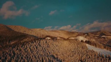 Sunset 'teki Hava Kış Manzarası. Güzel Sinema Kaliteli Görüntü UHD 4k. Karlı Orman 'ın havadan görünüşü. Üstgeçit Karlı Dağlar ve Donmuş Ağaçlar. Ukrayna, Karpat Dağları