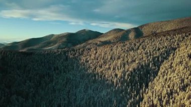 Sunset 'teki Hava Kış Manzarası. Güzel Sinema Kaliteli Görüntü UHD 4k. Karlı Orman 'ın havadan görünüşü. Üstgeçit Karlı Dağlar ve Donmuş Ağaçlar. Ukrayna, Karpat Dağları