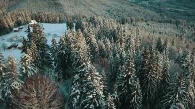 Sunset 'teki Hava Kış Manzarası. Güzel Sinema Kaliteli Görüntü UHD 4k. Karlı Orman 'ın havadan görünüşü. Üstgeçit Karlı Dağlar ve Donmuş Ağaçlar. Ukrayna, Karpat Dağları