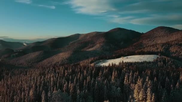 Flygvinterlandskap Vid Solnedgången Vackra Filmer Filmkvalitet Uhd Flygfoto Över Snöskogen — Stockvideo