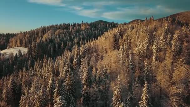 Paesaggio Aereo Invernale Tramonto Bella Qualità Cinematografica Filmato Uhd Veduta — Video Stock
