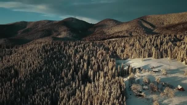 日没の空中冬の風景 美しい映画品質の映像Uhd 雪の森の空中ビュー フライオーバー雪の山と木々の凍結 ウクライナ カルパチア山脈 — ストック動画