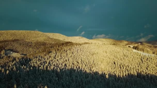 Sunset Teki Hava Kış Manzarası Güzel Sinema Kaliteli Görüntü Uhd — Stok video