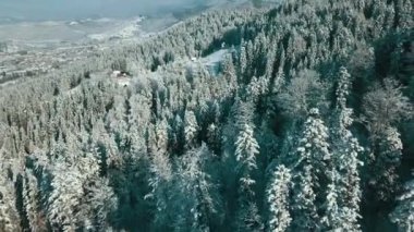 Kışın karla kaplı donmuş bir ormanın havadan görünüşü. Finlandiya 'da kış ormanı üzerinde uçuş, üst görünüm.