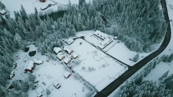 Drone Riprese Alberi Innevati Natura Invernale Bella Europa Vista Aerea — Video Stock