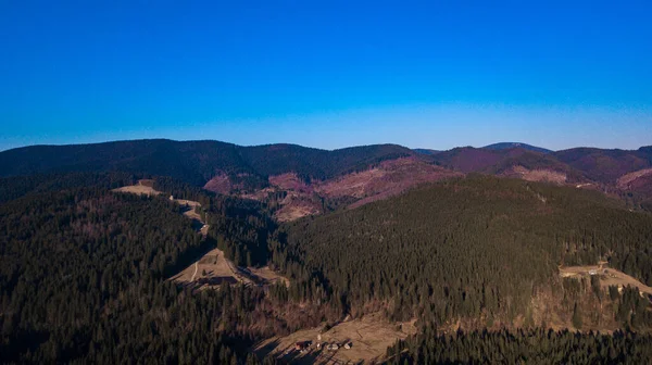 Alpský Les Karpatská Letecká Fotografie — Stock fotografie