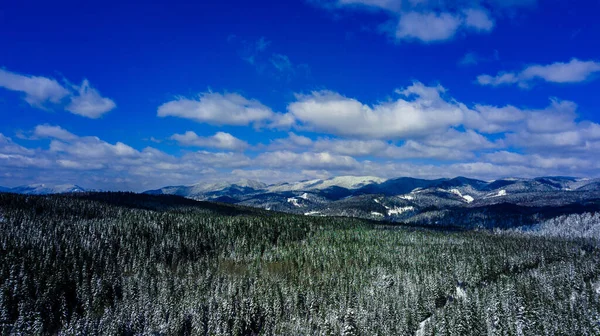 喀尔巴阡山脉山脉山脉松树林针叶林山顶冬季雪地航空摄影 — 图库照片