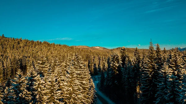 Winterkarpaten Nadelwald Luftbildaufnahmen Aus Dem Gebirge — Stockfoto