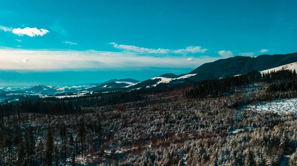 Карпатські Гори Зимове Гірське Пасмо Аерофотозйомки — стокове фото