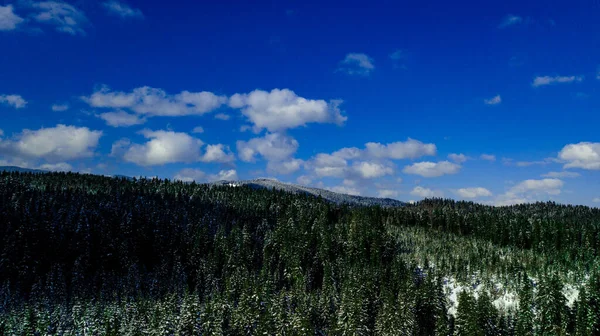 Karpaty Zima Śnieg Zdjęcia Lotnicze — Zdjęcie stockowe