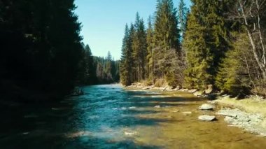Dağ çamı nehri dron nehrinin üzerinden uçuyor dağ suyunun üzerinde süzülüyor