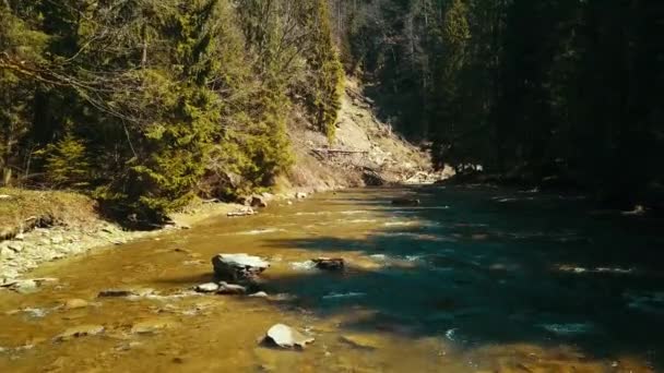 山の水の上にドローン川の上に松の川の飛行 — ストック動画