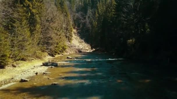 山の水の上にドローン川の上に松の川の飛行 — ストック動画