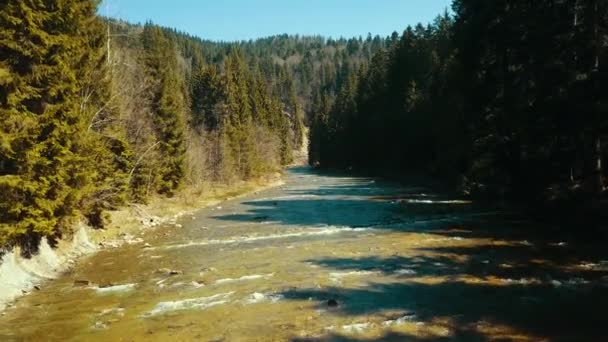 Vuelo Del Río Pino Montaña Sobre Río Dron Eleva Por — Vídeos de Stock