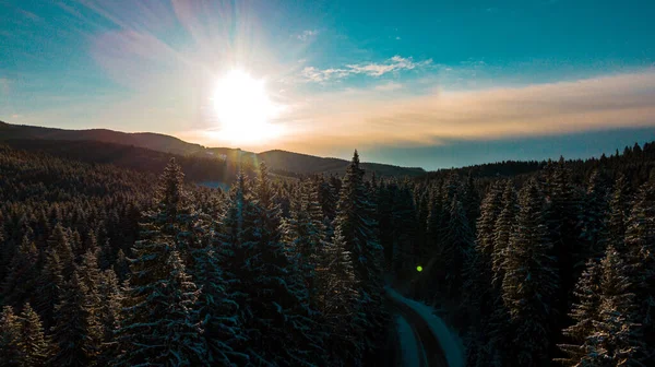 Karpat Dağları Kış Aralığı Hava Fotoğrafçılığı Panoraması — Stok fotoğraf