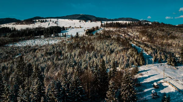 Зимовий Карпатський Хвойний Ліс Відеозйомка Гірському Хребті — стокове фото