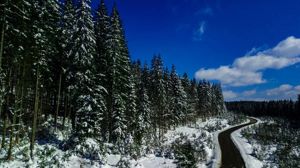 カルパチア山脈の松林針葉樹の山トップ冬の雪の空中写真 — ストック写真