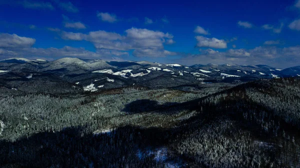 Гірський Масив Карпат Соснові Ліси Хвойні Гірські Вершини Зимові Снігові — стокове фото