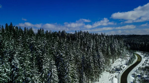 Karpaten Bergen Bergketen Dennenbossen Naaldbomen Bergtoppen Winter Sneeuw Luchtfotografie — Stockfoto