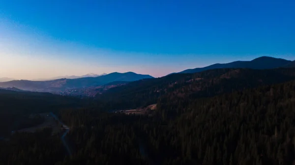 Karpat Dağları Çam Ormanları Hava Fotoğrafçılığını Iğneler — Stok fotoğraf