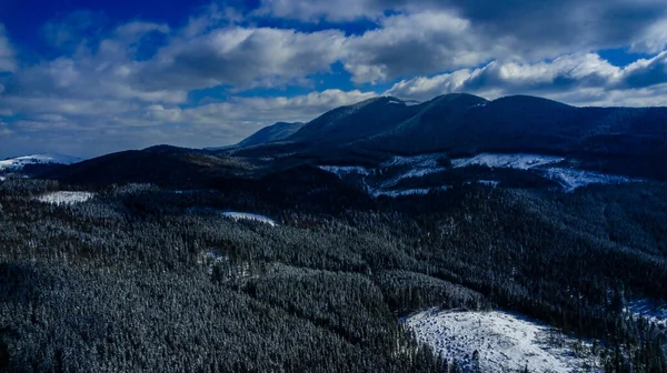 Karpaten Gebirge Kiefernwälder Nadelwälder Berggipfel Winter Schnee Luftaufnahmen — Stockfoto